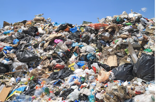 The staggering statistics of global food waste: What you need to know