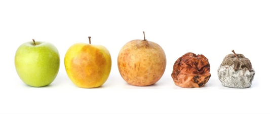 Ethylene gas absorption and its effect on food waste