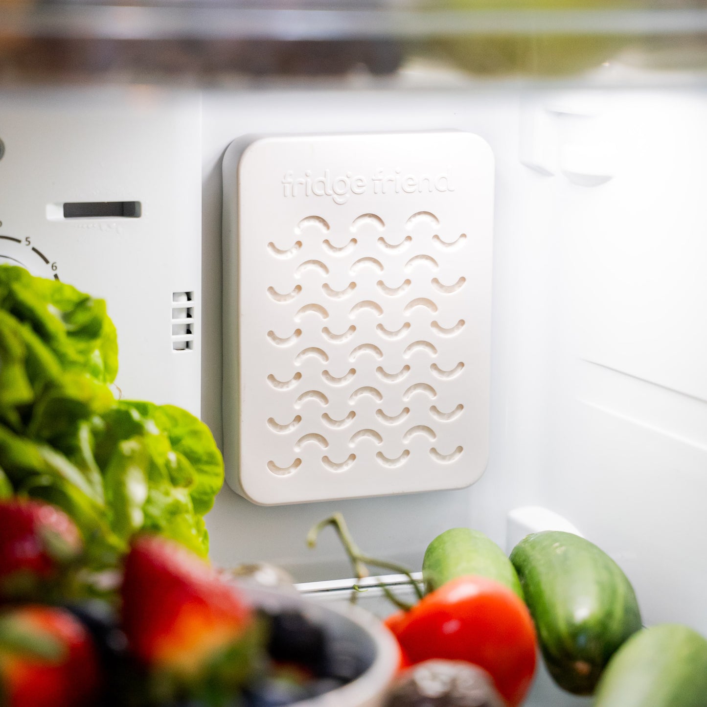 Fridge Friend® Wholesale