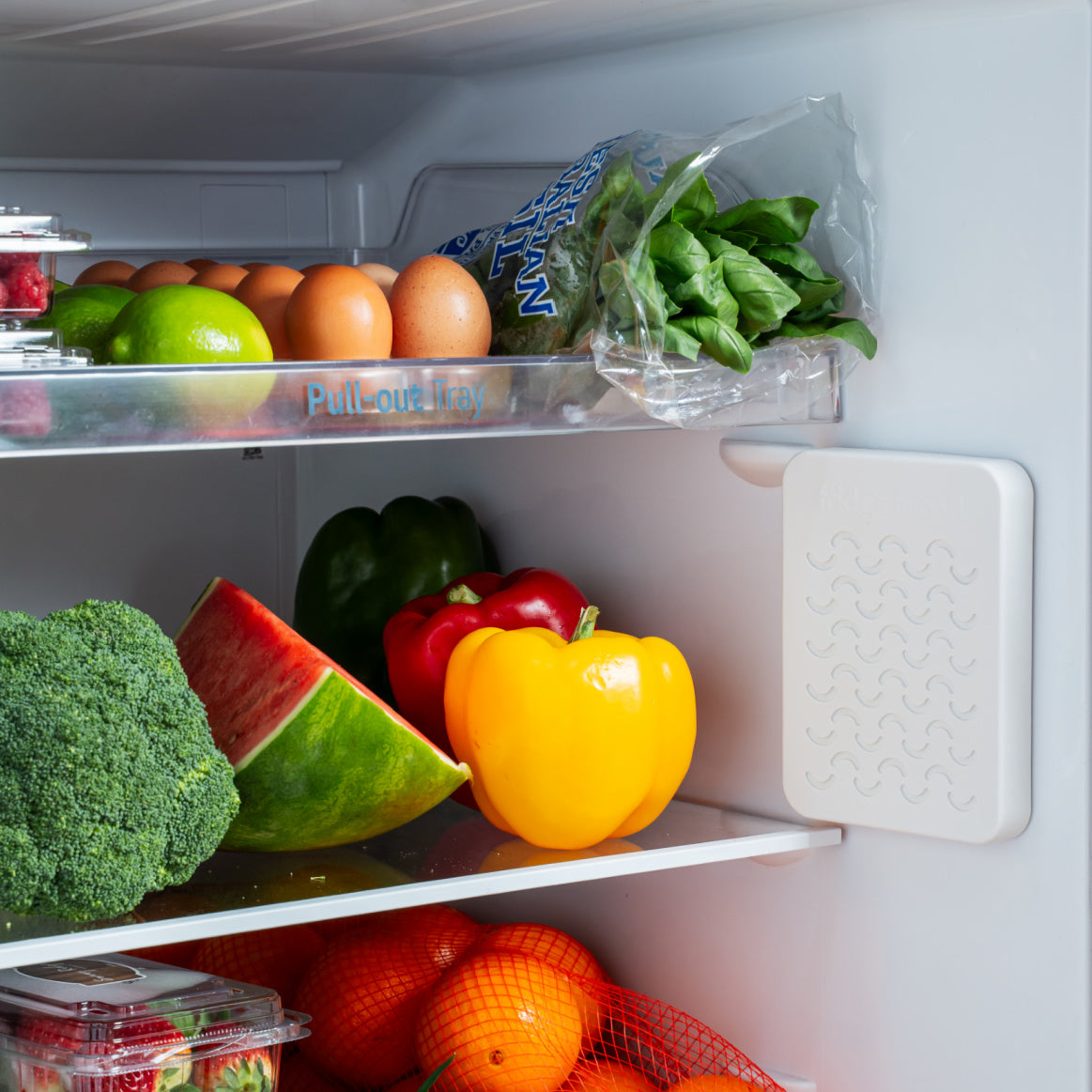 Fridge Friend®