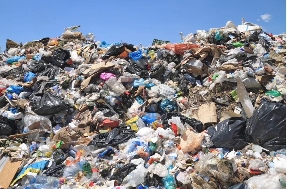 The staggering statistics of global food waste: What you need to know
