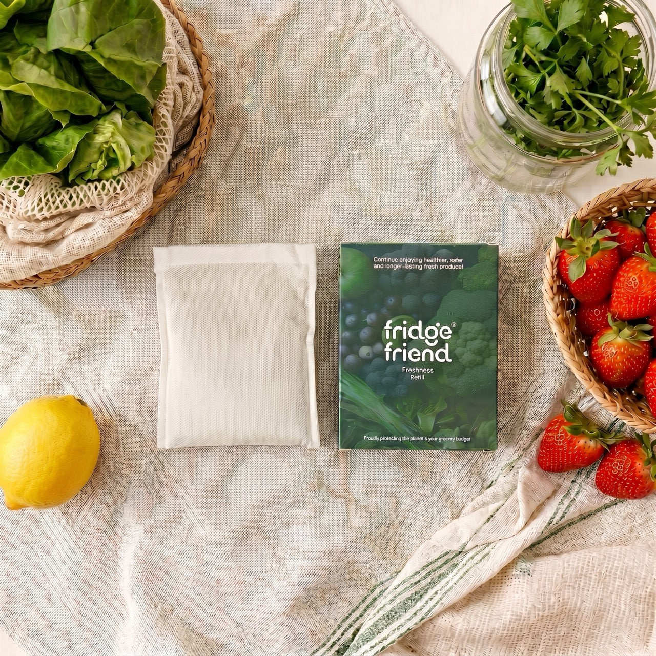 Remplacement de l'insert minéral Fridge Friend