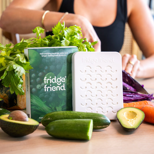 Fridge Friend® Wholesale